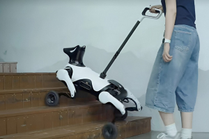 cane-robot-Xiaoyuan-cina