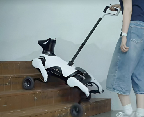cane-robot-Xiaoyuan-cina