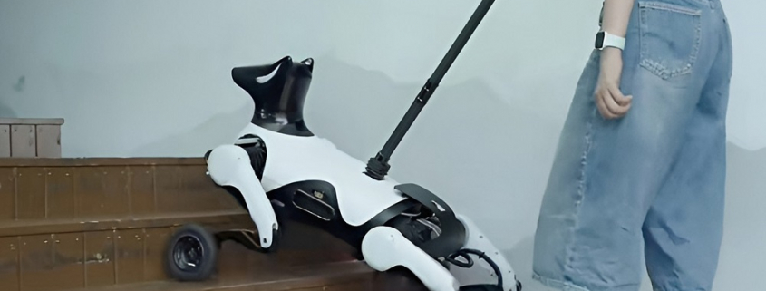 cane-robot-Xiaoyuan-cina